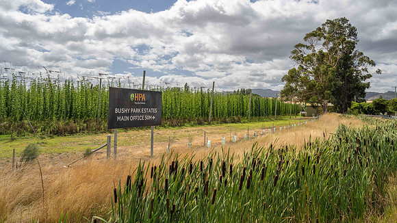 Bushy Park - Tasmania