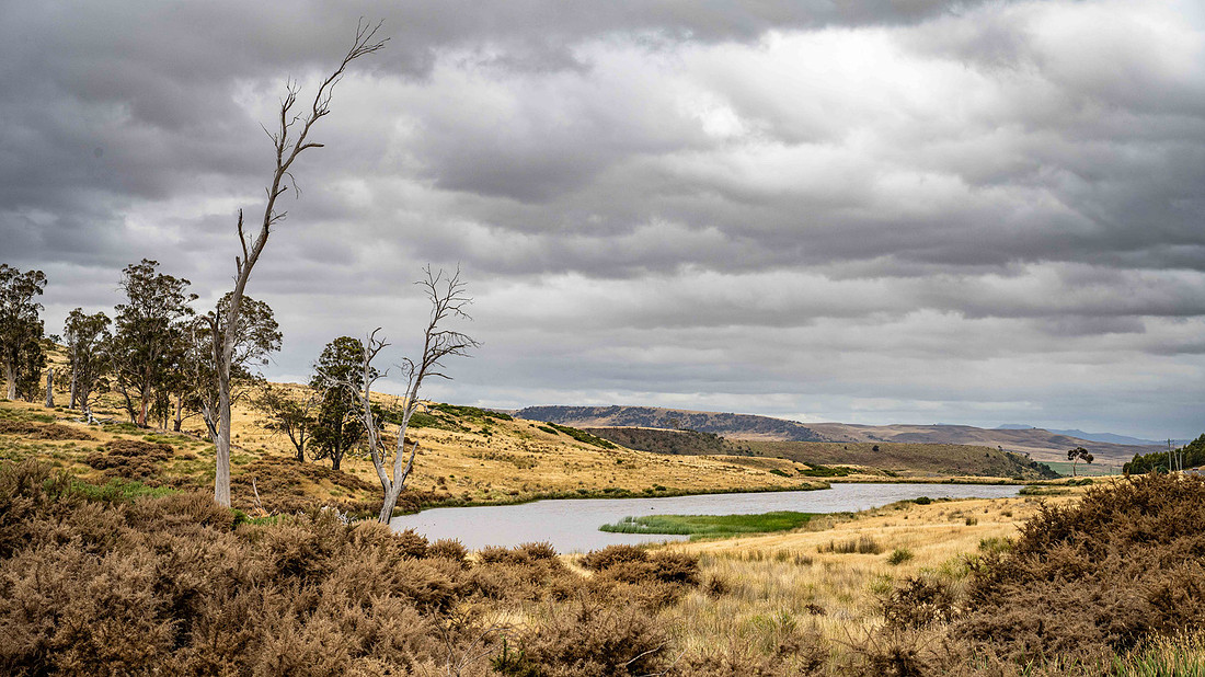 Landscape along the C608 road near Ellendale