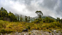 Landscape along Lyell Highway