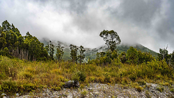 Landscape along Lyell Highway