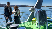 Ferry to Mona