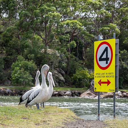 Does that speed limit apply to us?