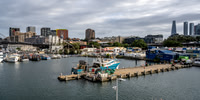 Blackwattle Bay