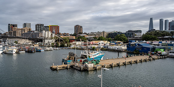 Blackwattle Bay