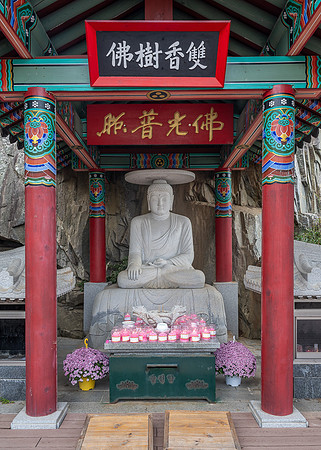 The Medecine Buddah