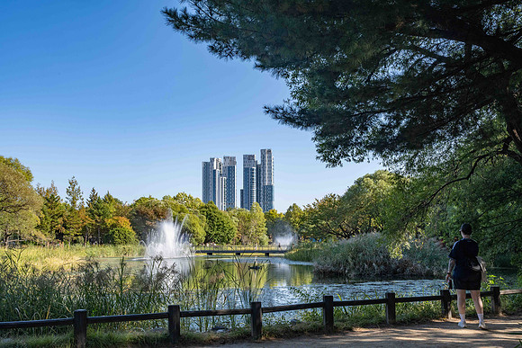 Seoul Forest