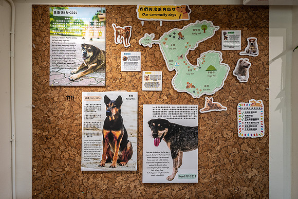 The Community Dogs