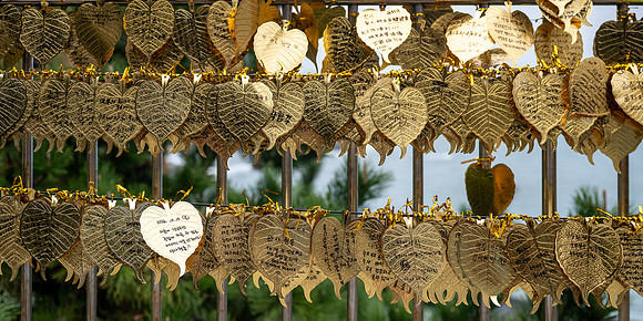 Golden prayer and wish leaves