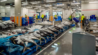 Inbound Warehouse