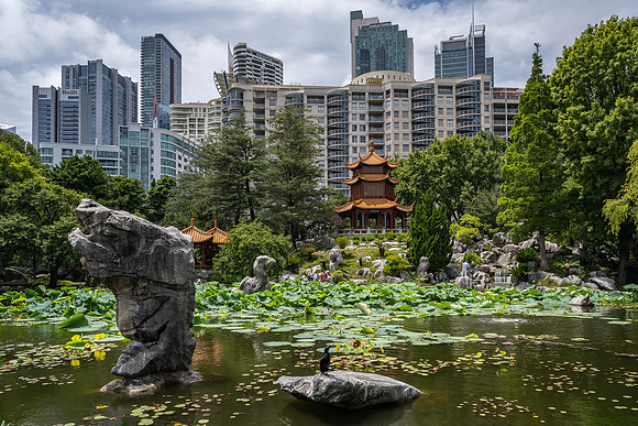 Inside the Chinese Garden of Friendship