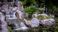 Inside the Chinese Garden of Friendship