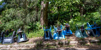 Local Transport