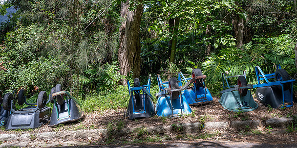 Local Transport