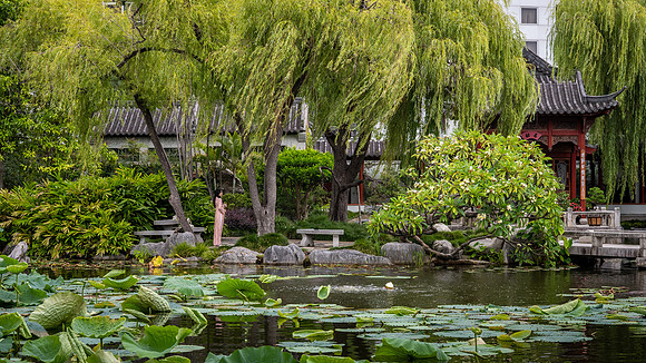 Inside the Chinese Garden of Friendship