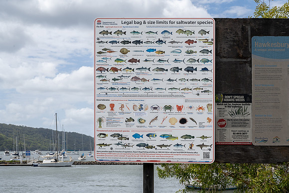 Focus on Fishing in Hawkesbury River