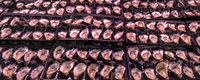 Fresh half-shell Oysters