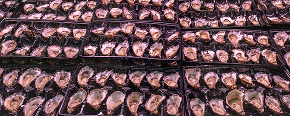 Fresh half-shell Oysters