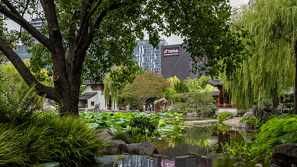 Tiktok oversees the Chinese Garden of Friendship