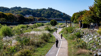 Walking and cycling path along the Jeonju River