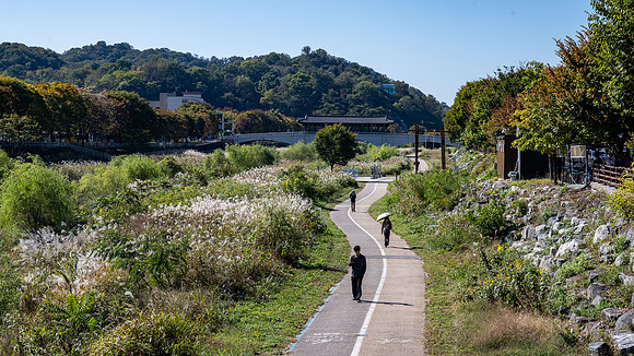 Walking and cycling path along the Jeonju River