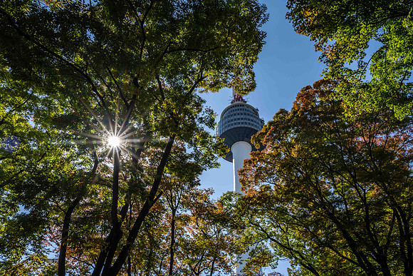 North Seoul Tower / Namsam Park