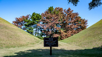 Between 2 Burial Mounds