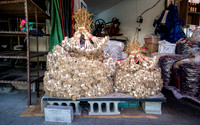 Fresh Garlic