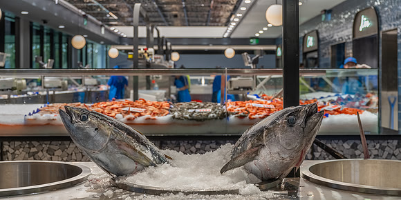 Tuna for Sale