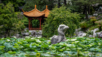 Inside the Chinese Garden of Friendship