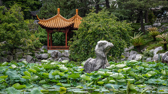 Inside the Chinese Garden of Friendship