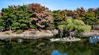 Wolji Pond