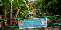 Peng Chau Communal Farm