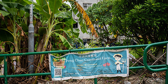 Peng Chau Communal Farm