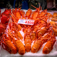 Claudio's Rock Lobster