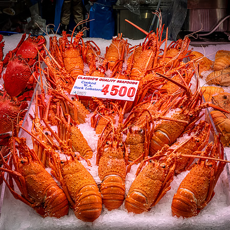 Claudio's Rock Lobster