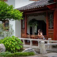Pensive (Chinese Garden of Friendship)