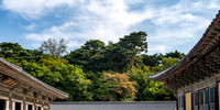 Roof shapes inside the Bulguksa Temple Complex