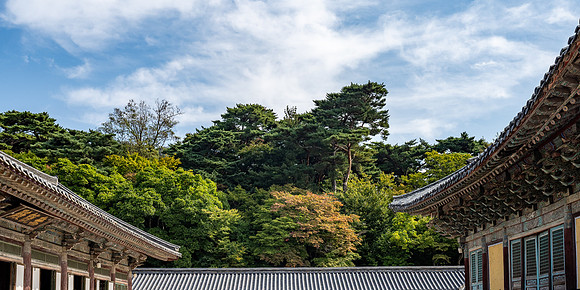 Roof shapes inside the Bulguksa Temple Complex