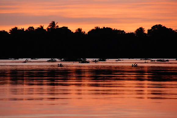Orinoco Delta
