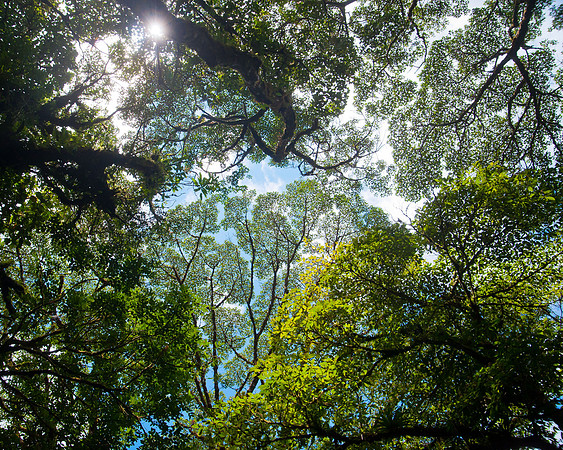 Costa Rica-5