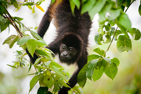 Costa Rica-6