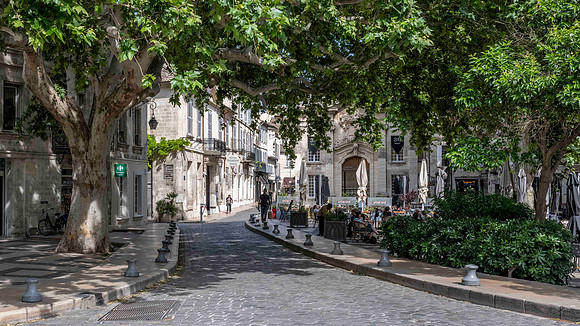 Avignon-3