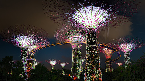 Gardens in the Bay - Singapore