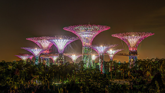 Gardens in the Bay - Sigapore