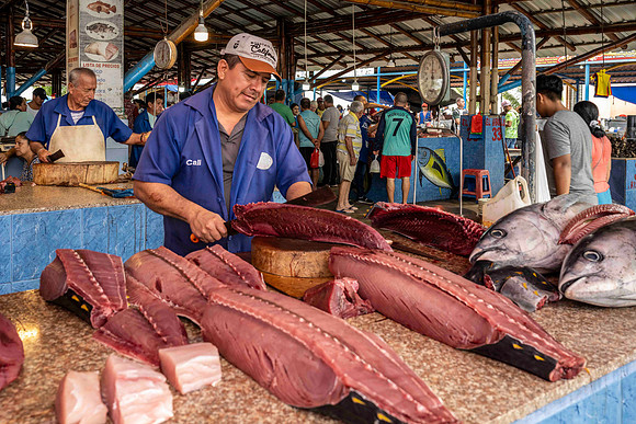 Tuna at Manta fish market