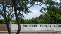 Private Sugar Cane Grower