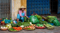 Fresh Vegetables
