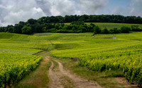 Epernay-4
