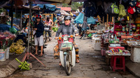 Local Transport
