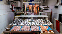 Fish Market